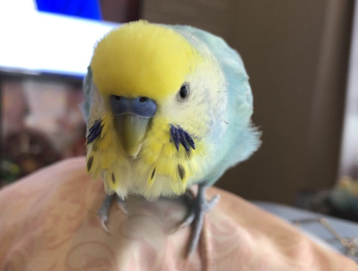 おはよっ！☀️