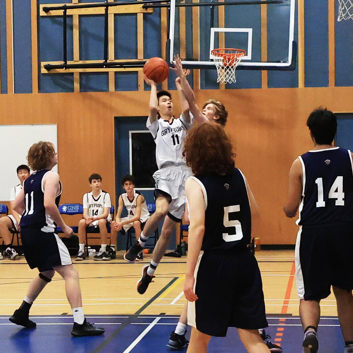 Come out and cheer on our Junior Boys basketball team this afternoon as they take on SMUS in the City Playoff Finals! Let's support our Gryphons!

Tipoff is at 4:15 in the Gudewill Gym.

#myngs #mygnsathetics #gogryphonsgo