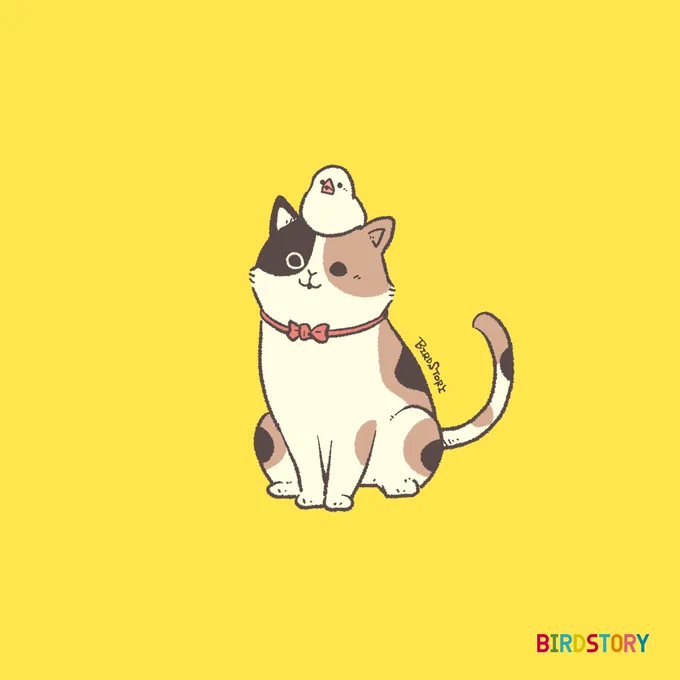 おはようございます。本日は2月22日、ニャンニャンニャンの語呂合わせから、猫の日とのことです#BIRDSTORY #猫の日 #猫 
