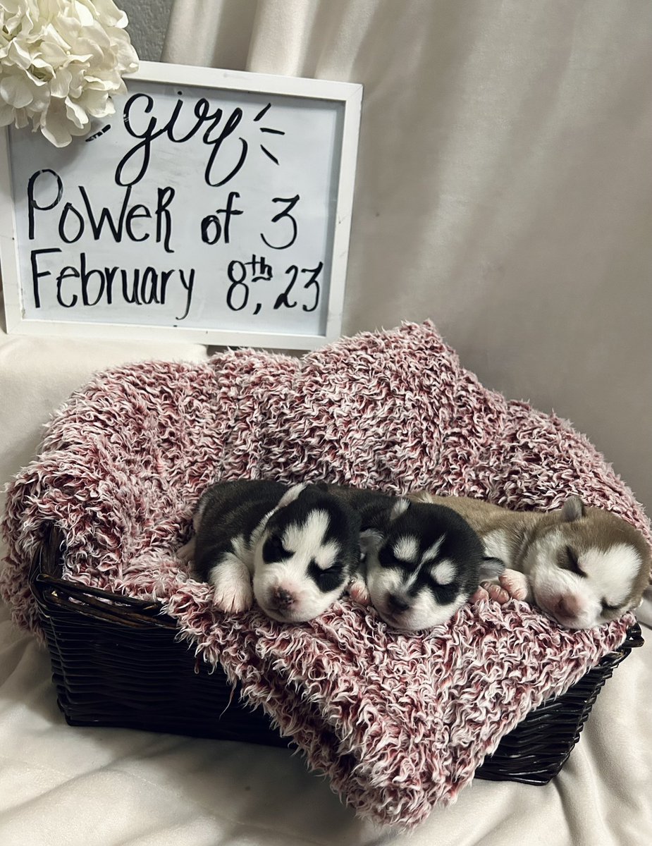 jonathan a watts tweet media