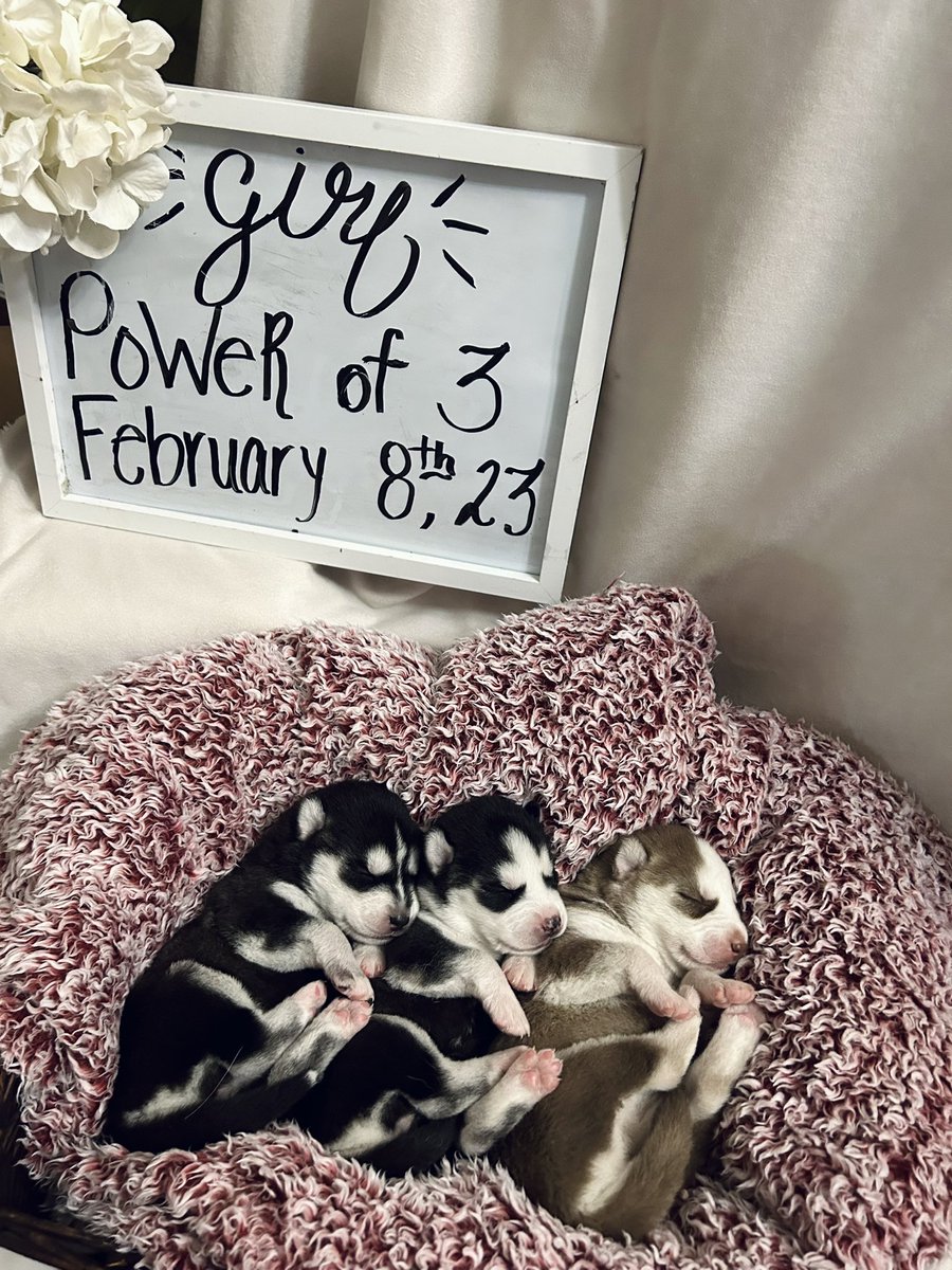 jonathan a watts tweet media