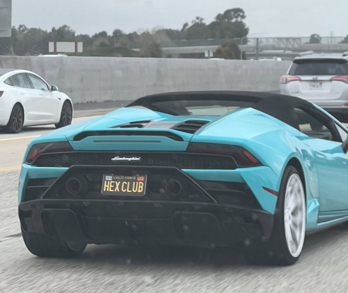 stuartrucker0's tweet photo. Just saw an irl #hexflex $hex 📈📈📈 hexclub stays up 💯 https://t.co/n3pTn1wnd8