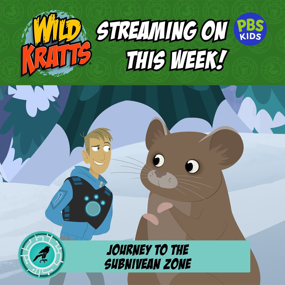 Wild Kratts on Twitter "Wild Kratts Episodes Streaming on the PBSKIDS