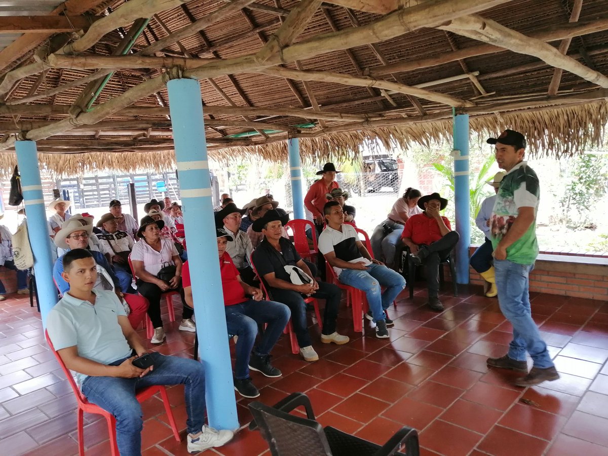 PL_PAZDEARIPORO's tweet photo. #OrgullosamenteGanaderos #construyendoganaderia Gira técnica Lechera a Tame, realizada con los ganaderos del municipio de Támara. Desde el proyecto local Paz de Ariporo se trabaja 24/7 por la ganadería
Gracias
@PL_TAME
@Fedegan @jflafaurie @manriquefm @ArauCasanareFng @embriogan https://t.co/oIU8UyHmuQ