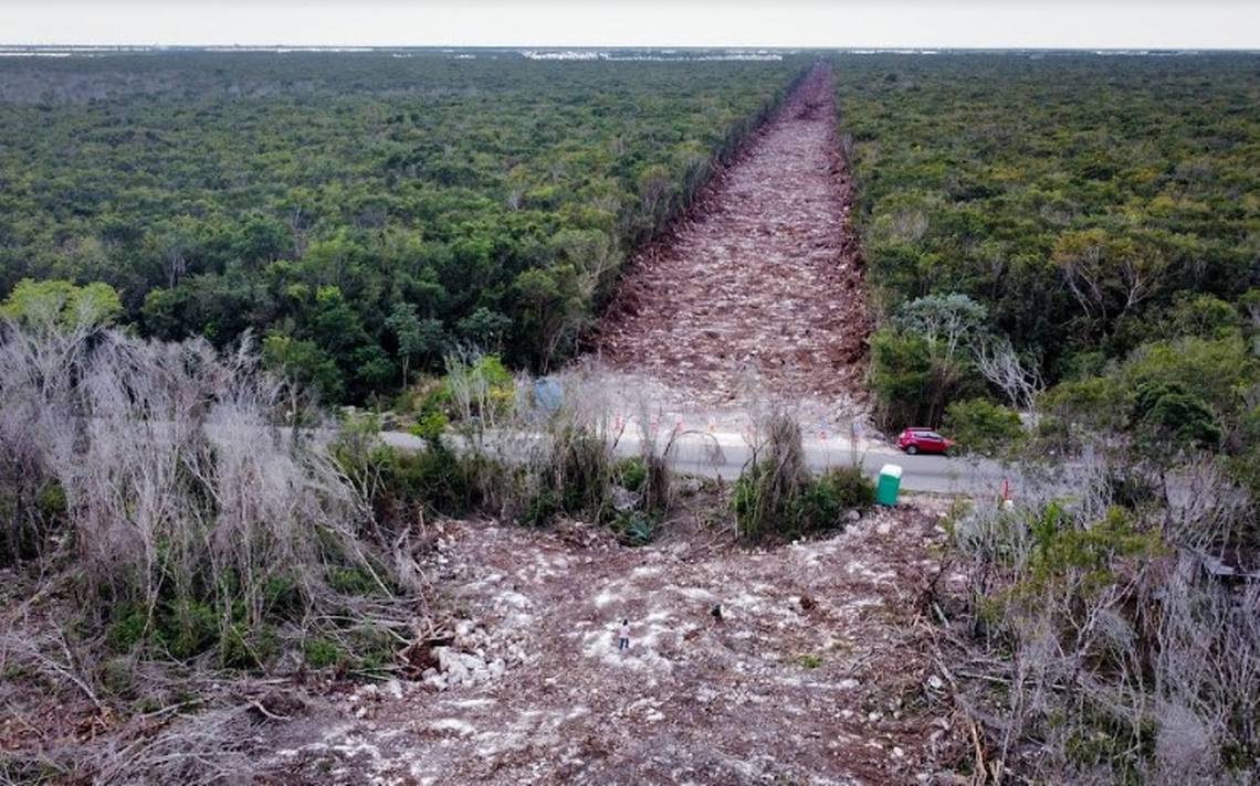 Mit dem #ZugderZerstörung in die #Klimakatastrophe? 
Menschenrechtsverletzungen gegenüber der Indigenen Bevölkerung? 
Das können Wir verhindern!

#trenmayastoppen

1/9