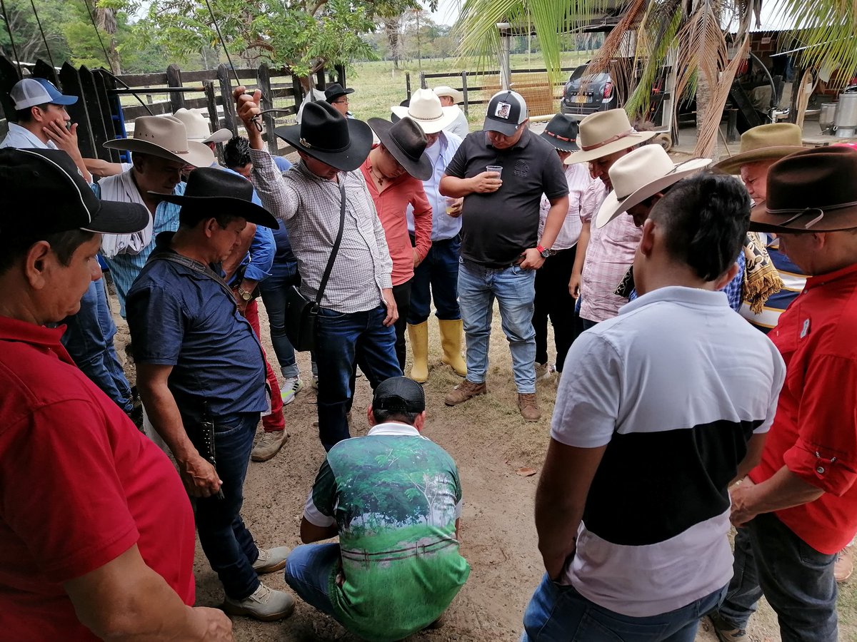 PL_PAZDEARIPORO's tweet photo. #OrgullosamenteGanaderos #construyendoganaderia Gira técnica Lechera a Tame, realizada con los ganaderos del municipio de Támara. Desde el proyecto local Paz de Ariporo se trabaja 24/7 por la ganadería
Gracias
@PL_TAME
@Fedegan @jflafaurie @manriquefm @ArauCasanareFng @embriogan https://t.co/oIU8UyHmuQ