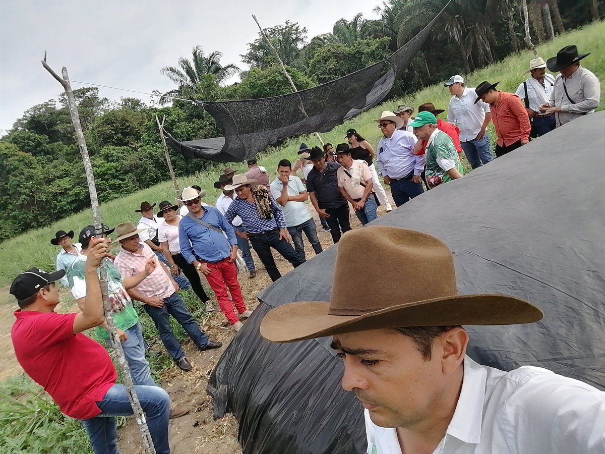 PL_PAZDEARIPORO's tweet photo. #OrgullosamenteGanaderos #construyendoganaderia Gira técnica Lechera a Tame, realizada con los ganaderos del municipio de Támara. Desde el proyecto local Paz de Ariporo se trabaja 24/7 por la ganadería
Gracias
@PL_TAME
@Fedegan @jflafaurie @manriquefm @ArauCasanareFng @embriogan https://t.co/oIU8UyHmuQ