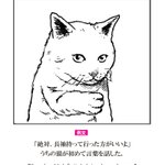 試験に出ない英語!うちの猫が初めて言葉を話した？!