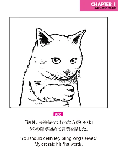 試験に出ない英語！うちの猫が初めて言葉を話した？！