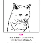 試験に出ない英語!うちの猫が初めて言葉を話した？!