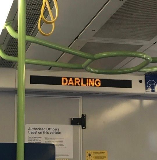 🧸Cal🐈‍⬛️Lula🐶 tweet media