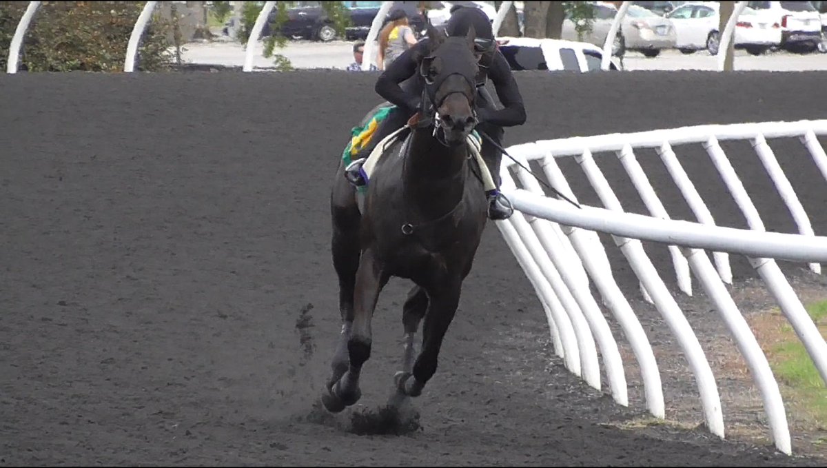 2yovar's tweet image. Pre-order our workout report for OBS March 2023 with 10% off for a limited time,we’ll have Prep Breezes,gallop out times, scores,comments
Watch Hip 139 OBS MARCH 2022, the now called SPEED BOAT BEACH preparation breeze and gallop out videos #perfectexample
breezereport.com/producto/all-w…