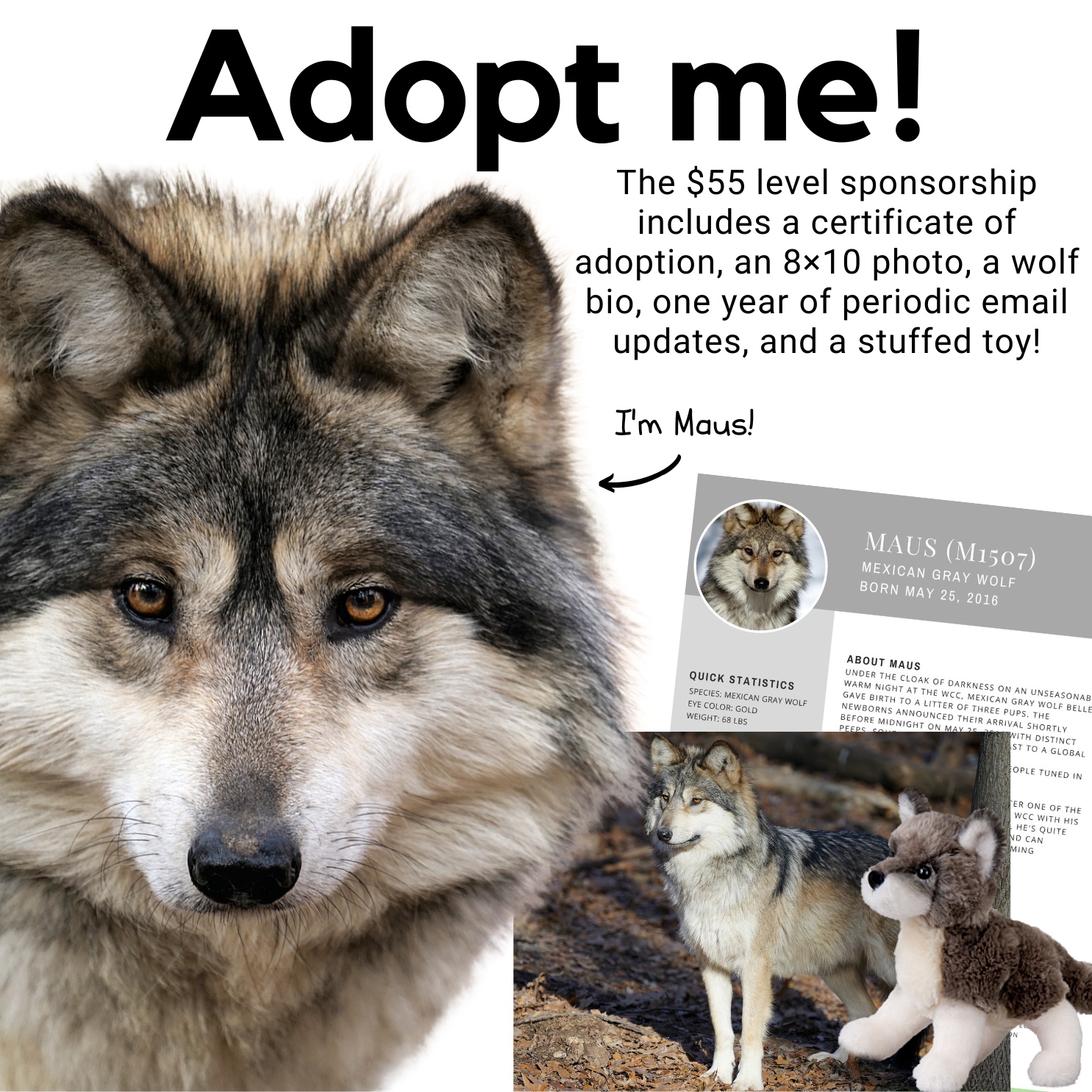 Wolf Conservation Center on Twitter "Share your love for wolves with a