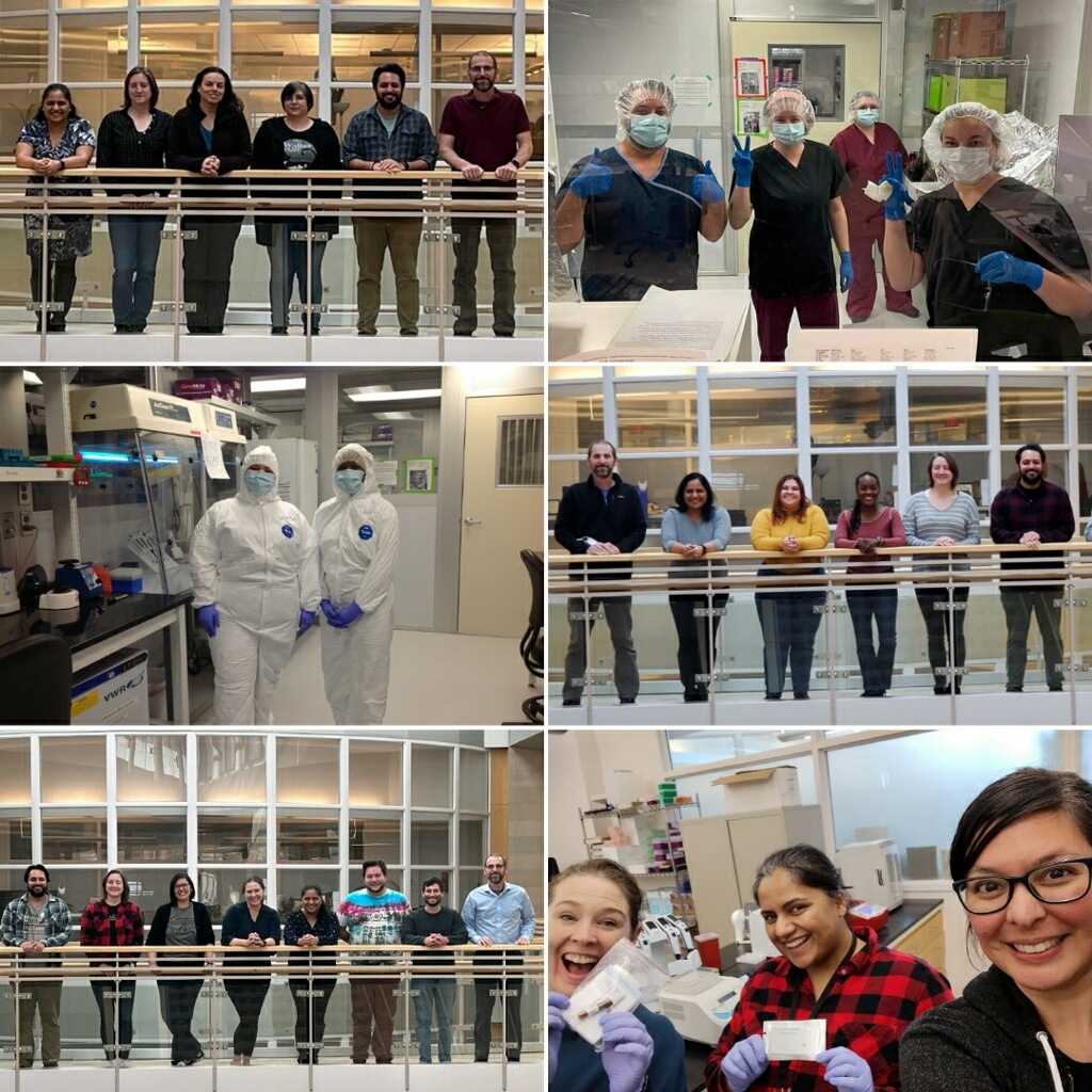 Cecil M. Lewis, Jr. (@cecilmlewisjr) on Twitter photo Wrapped up this year's in-person aspect of our immersion experiences in ancient metagenomics. We loved it! Now looking forward to the virtual training. Thanks <a href="/NSF/">U.S. National Science Foundation</a> and thank you @sankofadna <a href="/GracielaCabana/">Dr. Graciela Cabana</a> <a href="/JenniferRaff/">Dr. Jennifer Raff</a> <a href="/kgbeaty/">Dr. KGB</a>, Lateefa Abul, and Katie McCormack for joining us! Wrapped up this year's in-person aspect of our immersion experiences in ancient metagenomics. We loved it! Now looking forward to the virtual training. Thanks <a href="/NSF/">U.S. National Science Foundation</a> and thank you @sankofadna <a href="/GracielaCabana/">Dr. Graciela Cabana</a> <a href="/JenniferRaff/">Dr. Jennifer Raff</a> <a href="/kgbeaty/">Dr. KGB</a>, Lateefa Abul, and Katie McCormack for joining us!