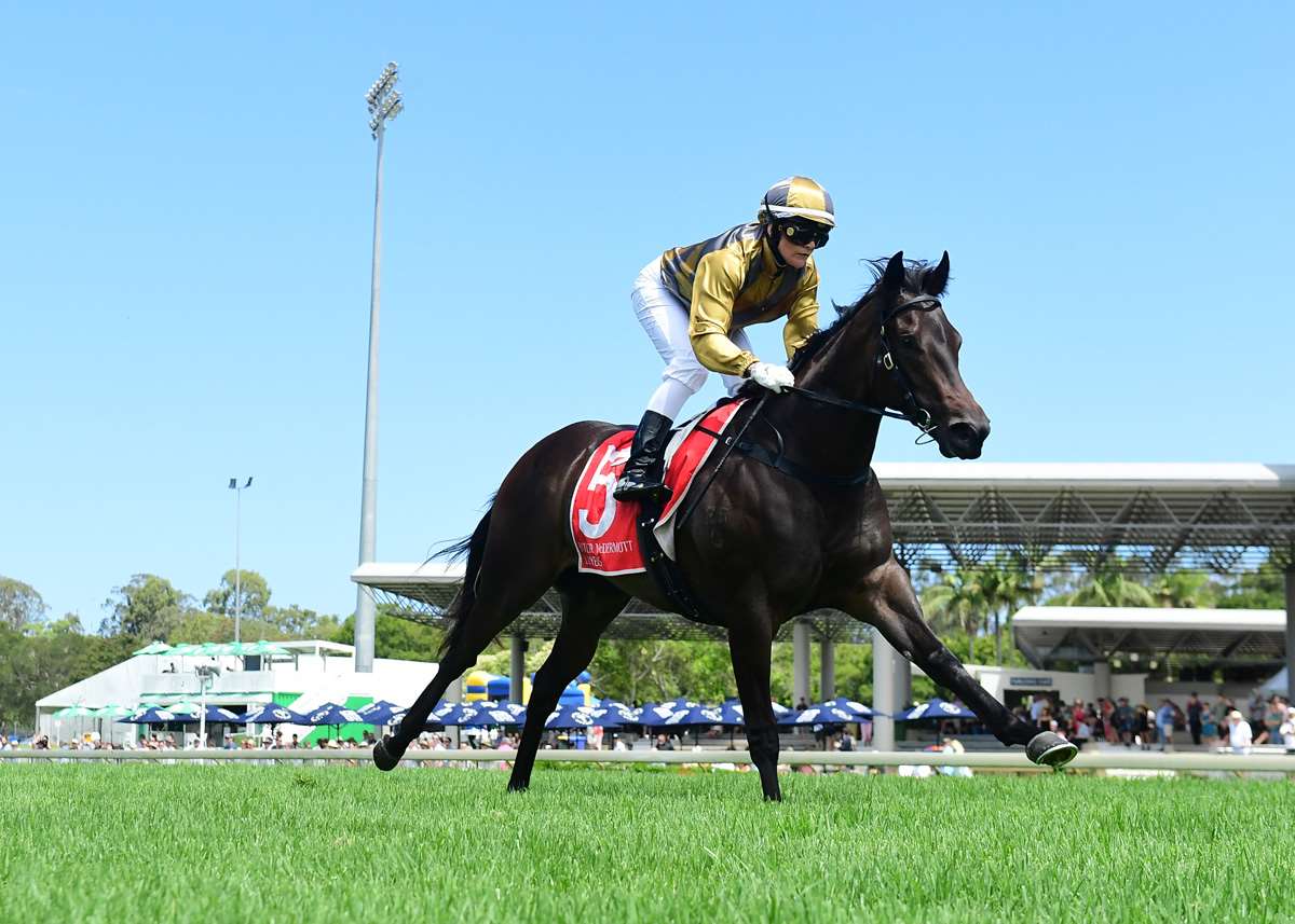 SCTurfClub's tweet photo. PARTY FOR TWO 🏇🏼 We'll be watching local trainer Damien Batters's runner in this Saturday's Blue Diamond Stakes (1200m) Group 1 at Sandown Hillside Racecourse. With Nikita Beriman aboard the 2yo Filly, we wish the dynamic pairing the best of luck for a continued winning streak! https://t.co/5nZKaImiwh