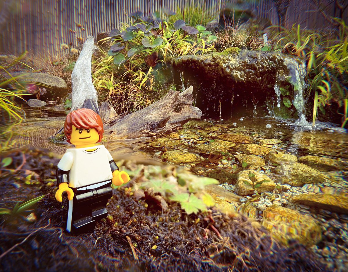 Corban2011_'s tweet photo. 自然を少し歩く〜( ＾∀＾)
A little walk though nature 〜 ( ＾∀＾)

#lego #legominifigure #legoafol #legophoto #legophotos #minifigure #legophotography #legocommunity #legopic #legolife #legofan #afol #lilcorban #legonature #legopictures #レゴ #ミニフィギュア #自然 #博多駅 #福岡 https://t.co/c0cKAqqmZz