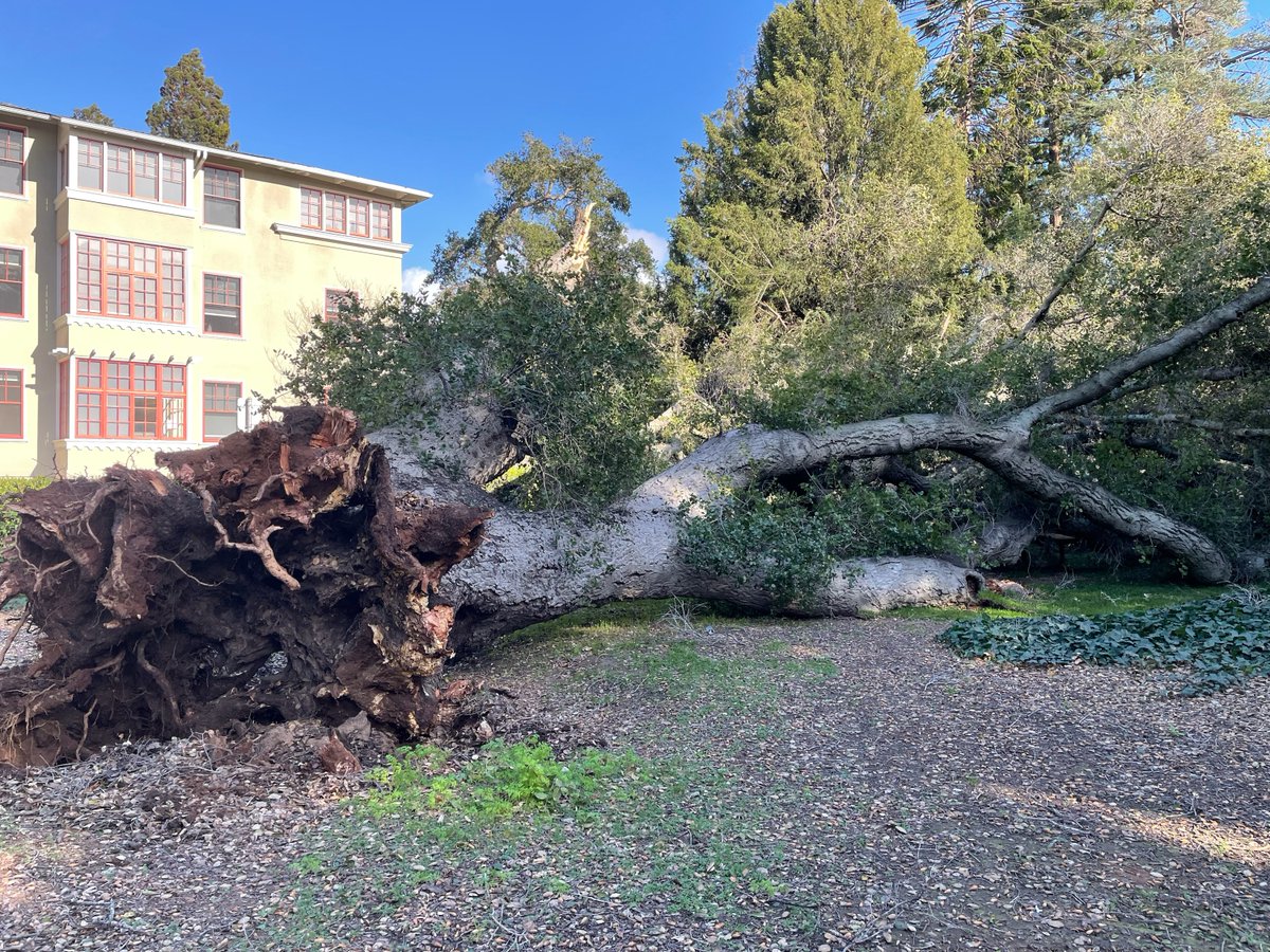 Tina Seelig tweet media