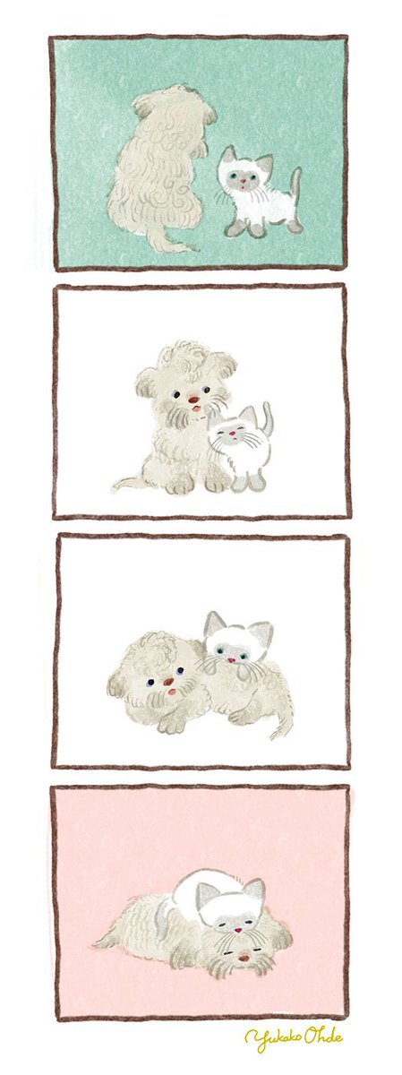 #猫の日
#にゃんにゃんにゃんの日 