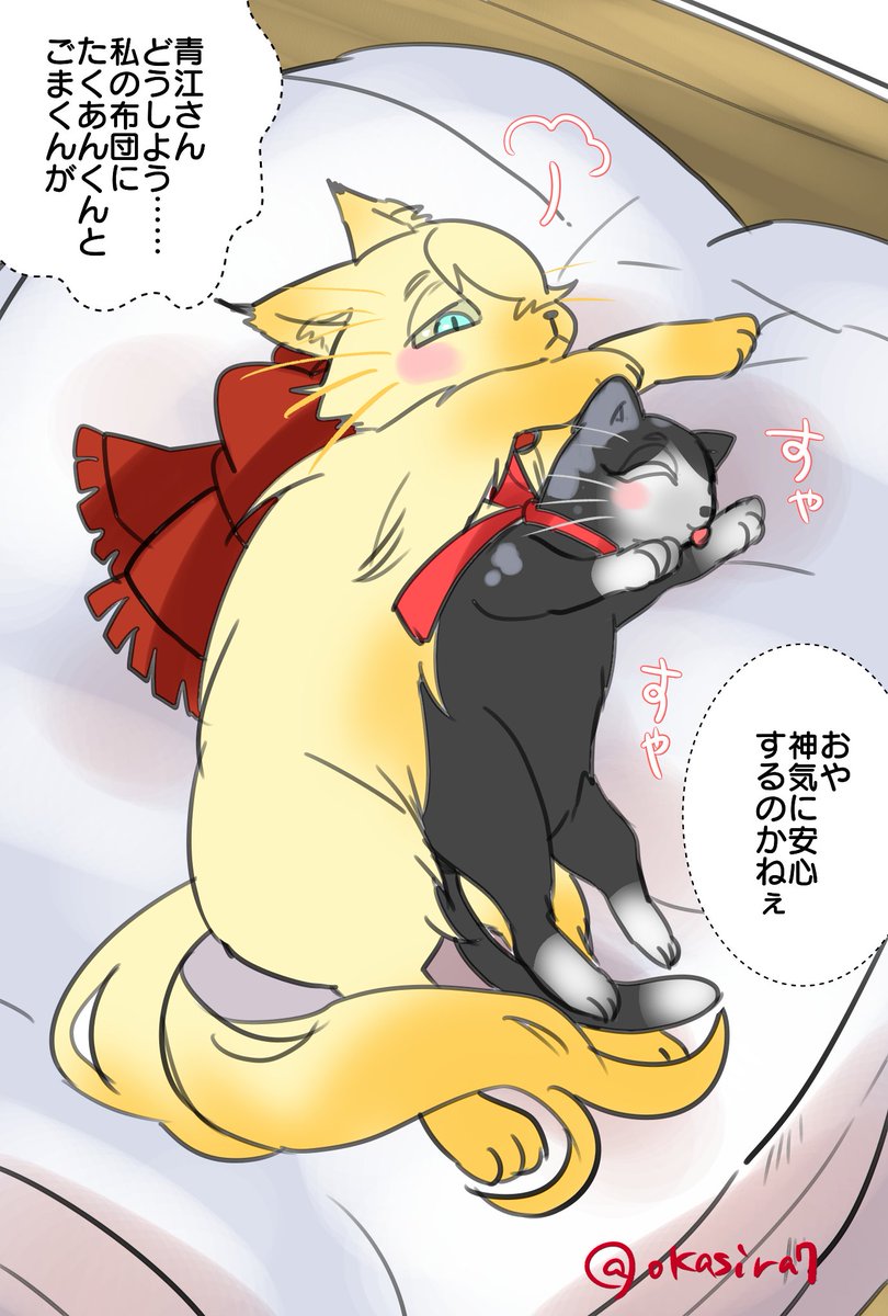 ネコチャンの日なので則清のノリムネコとキヨミネコを再放送しておきますね✨(キヨミネコは♀のネコチャン) 