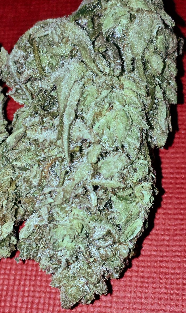 Chefdaganja's tweet photo. AK 47 de perto🤤
35R$ as G dessa 🥦
Enviamos pra todo o Brasil 💸 https://t.co/sLmdSQei8P
