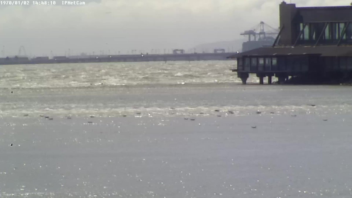 #windywindy... > 15kt <a href="/calsailing/">Cal Sailing Club ⛵️</a>! more at whatskraken.cal-sailing.org/wind