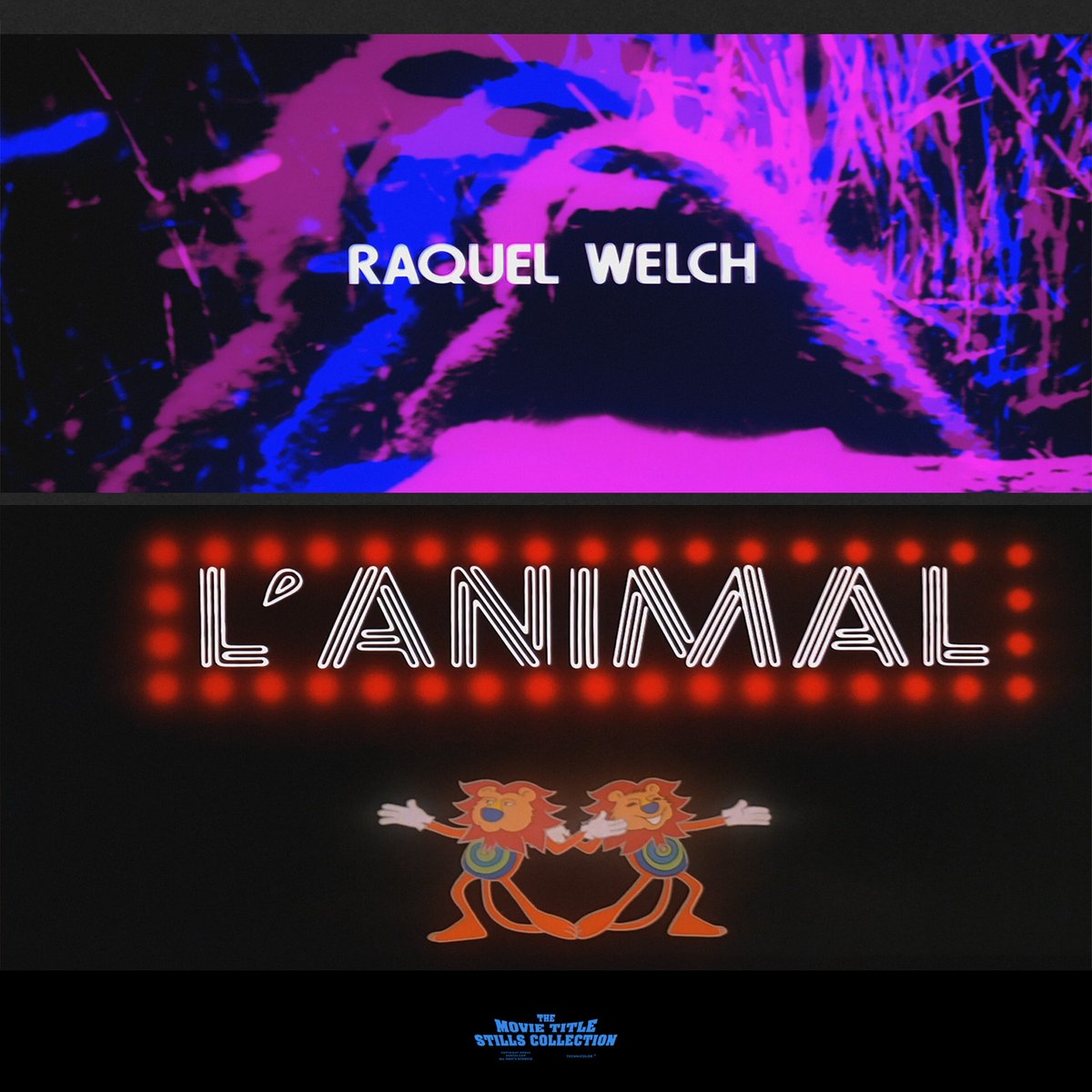 Raquel Welch (1940 – 2023)

L’ANIMAL / Animal (1977) title sequence
annyas.com/screenshots/up… #TitleSequence #RaquelWelch 

Title design: Michel Saignes, Eurocitel

Directed by: Claude Zidi 
Starring: Jean-Paul Belmondo, Raquel Welch, Dany Saval, Charles Gérard, Julien Guiomar
