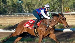 STEVE HEWLETT 🏇🎣 🛥👩‍🦳📻🏃‍♂️ tweet media