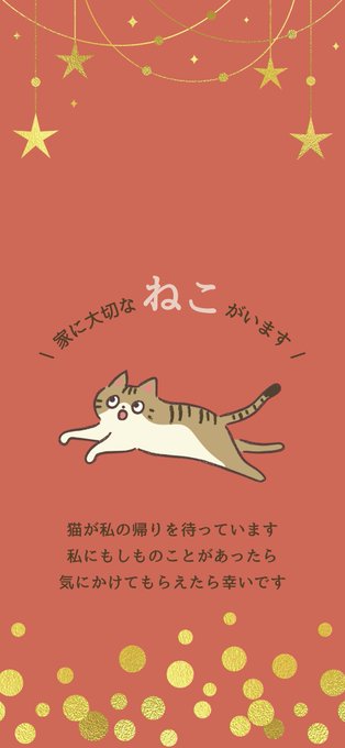 ⑪キジトラ 