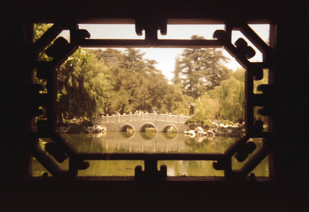 paulztackett's tweet photo. Sneak peek at a new roll 🎞 follow my Instagram for the full shabang https://t.co/EhoTbdJZ2P https://t.co/Ukwfvx5HGk