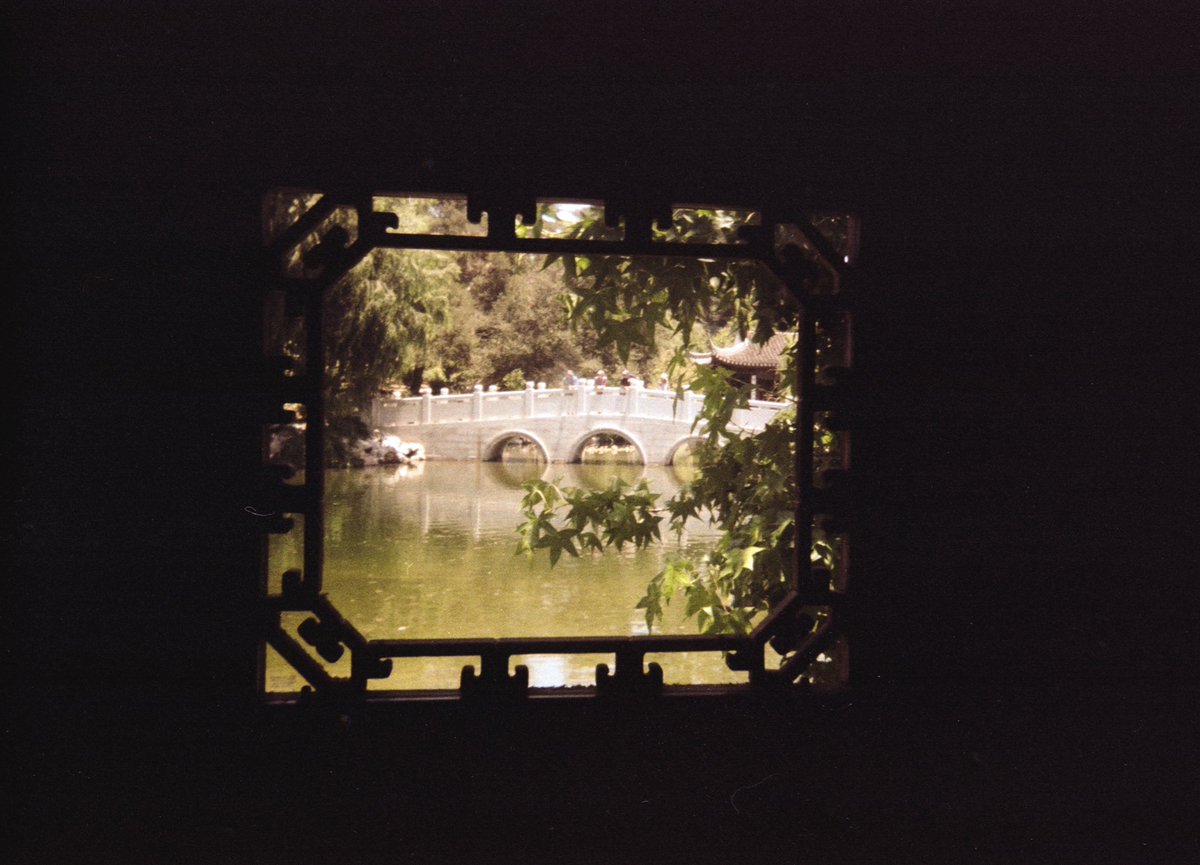 paulztackett's tweet photo. Sneak peek at a new roll 🎞 follow my Instagram for the full shabang https://t.co/EhoTbdJZ2P https://t.co/Ukwfvx5HGk