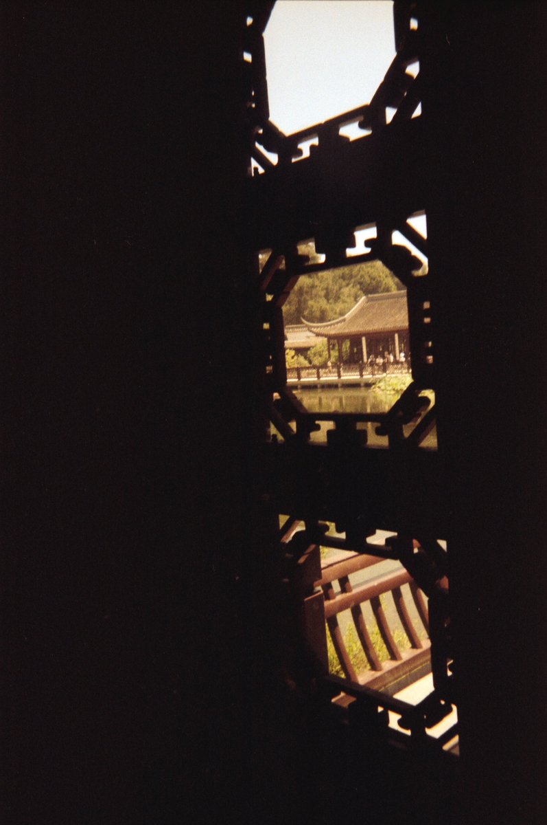 paulztackett's tweet photo. Sneak peek at a new roll 🎞 follow my Instagram for the full shabang https://t.co/EhoTbdJZ2P https://t.co/Ukwfvx5HGk