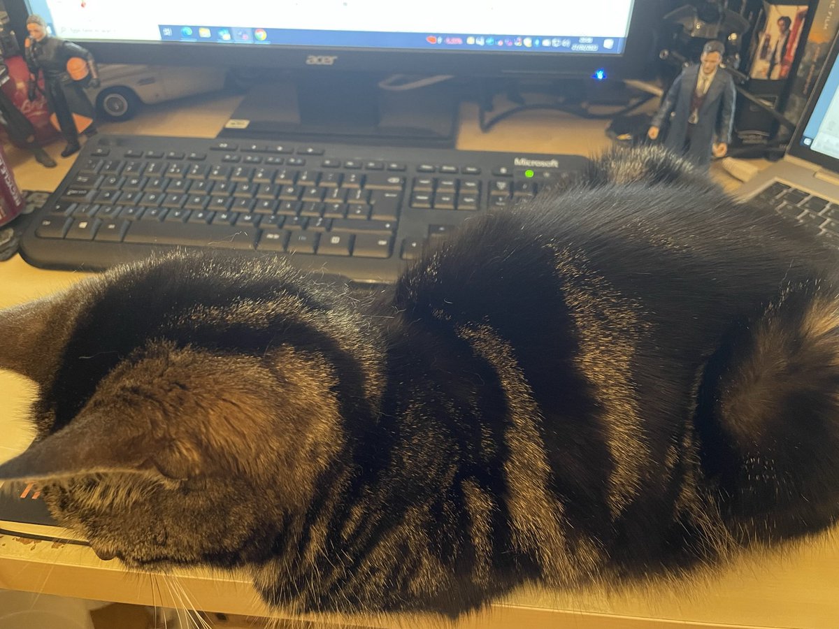 jangomac72's tweet image. Working from home problems!! #CatsOfTwitter #homeworking