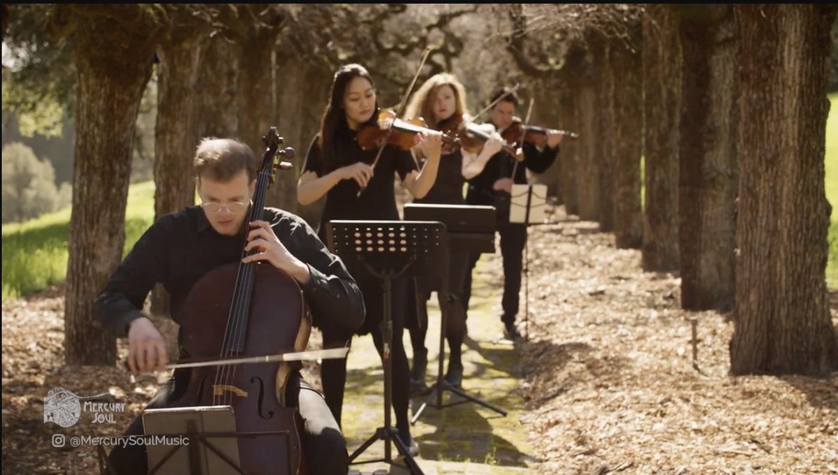 Beautiful settings + beautiful music. You can see Mercury Soul's video series on our website. "Classical to Bluegrass" follows strands of folk music from Antonin Dvořák’s “American” Quartet No. 12 in F major, Op. 96 to Alisa Rose’s “Fiddle Caprice.”   bit.ly/ggables