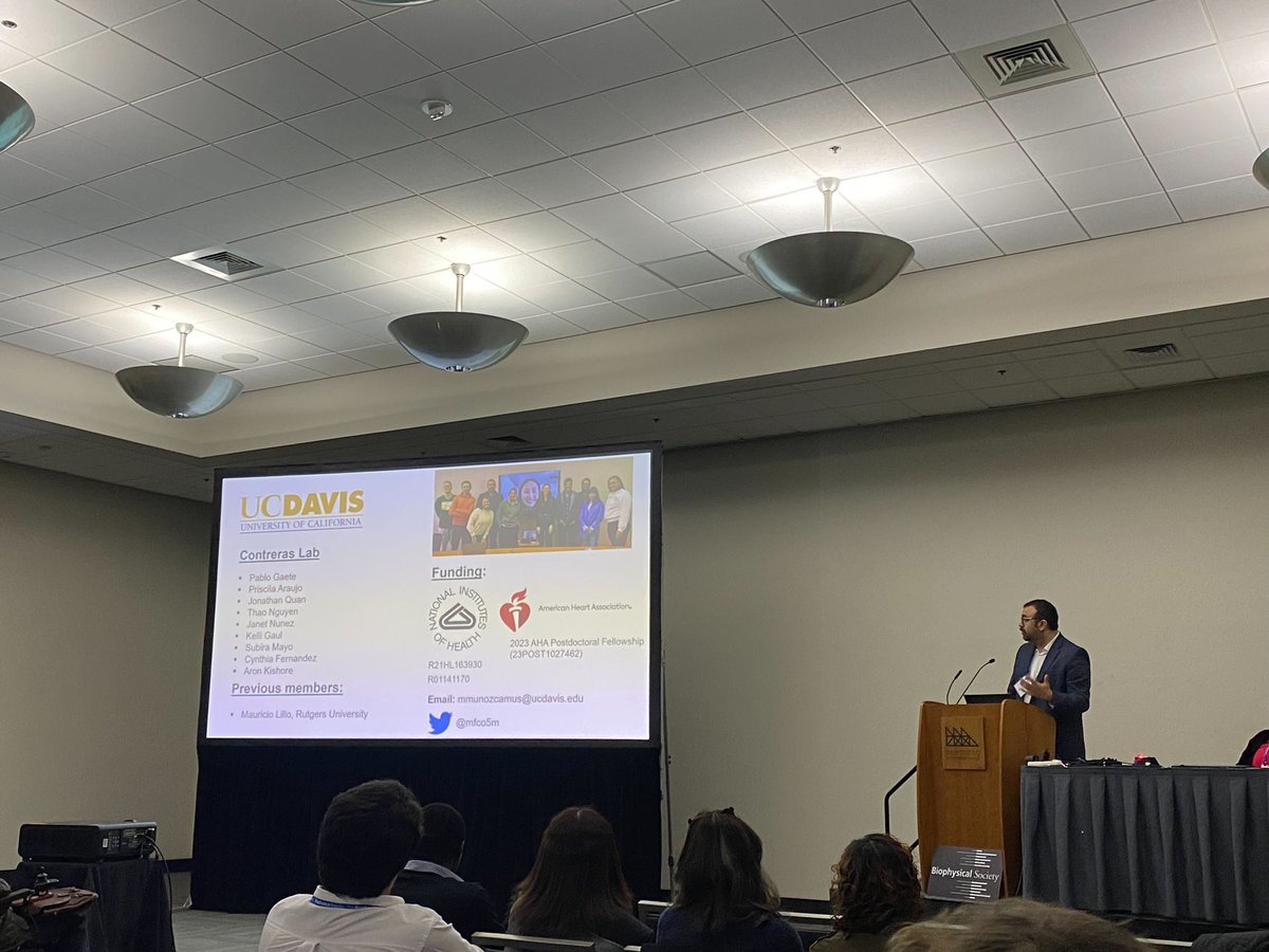 DrContrexin's tweet image. Great talk by @mfco5m on connexin hemichannels in cardiac arrhythmias  and myocardial infarction at #BPS2023!