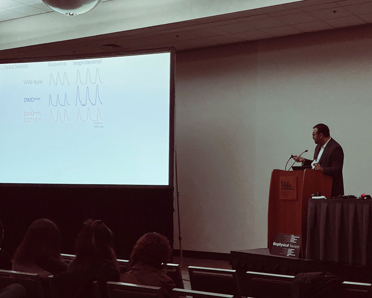 DrContrexin's tweet image. Great talk by @mfco5m on connexin hemichannels in cardiac arrhythmias  and myocardial infarction at #BPS2023!