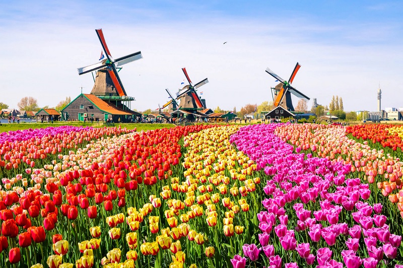 Marina_Market's tweet photo. Fresh Shipment From Netherlands! Check out our amazing selection and Great Deals on Dutch Food, Kitchenware, and more! https://t.co/gQUTA3wAaC https://t.co/6t3e91goZf