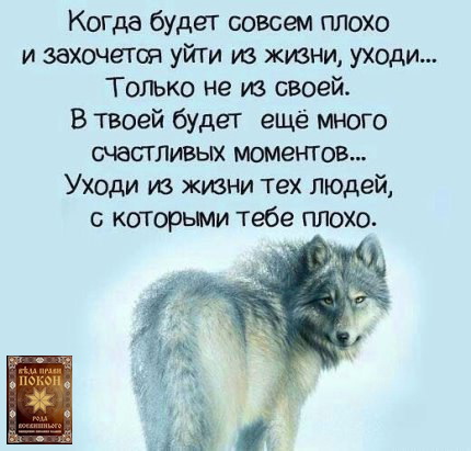 Вѣлімудр (@velemudrtkachov) on Twitter photo 