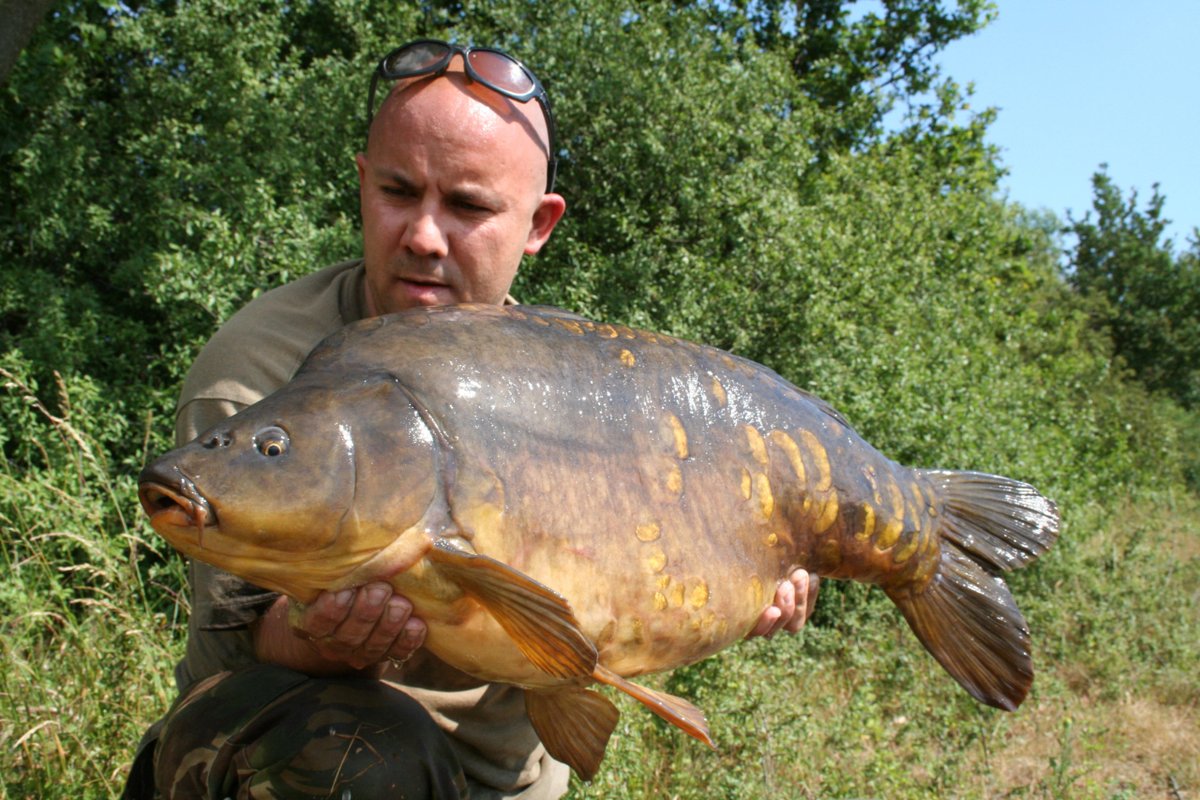 Leon_Bartropp's tweet photo. Whats Your Floater Caught PB?ย
My Current Floater Caught PB 29lb+ from the Manor in Essex many years ago...
I must try harder these next couple of years to get over that 30lb+ mark.
#itonlytakesonebite #carpfishing #mirrorcarp #leonbartropp https://t.co/TTSD3avuSP