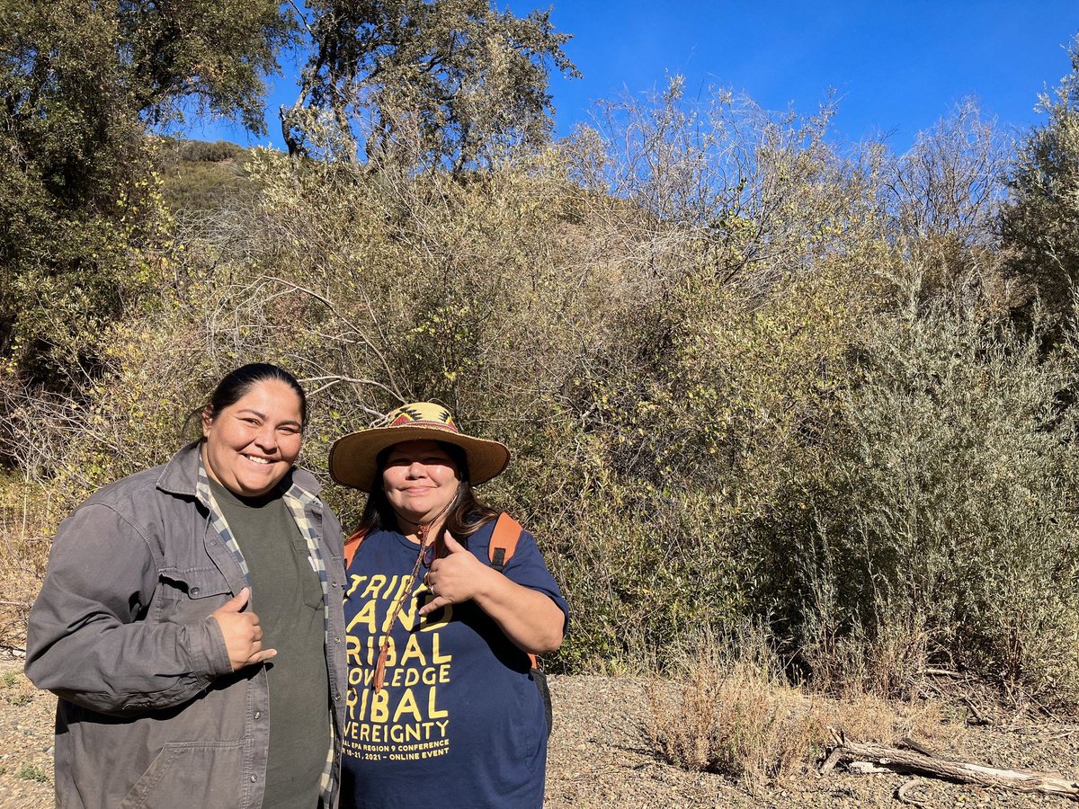 TERATribalEco's tweet photo. https://t.co/9zcSvZK0pI
Registration open for the next cohort of the Native Stewards Fellowship in #LakeCountyCA! Join us for 4 powerful weeks of training bringing together traditional knowledge, land restoration, cultural fire, and more.  Applications due by March 5th. https://t.co/ZaiHh1abhz