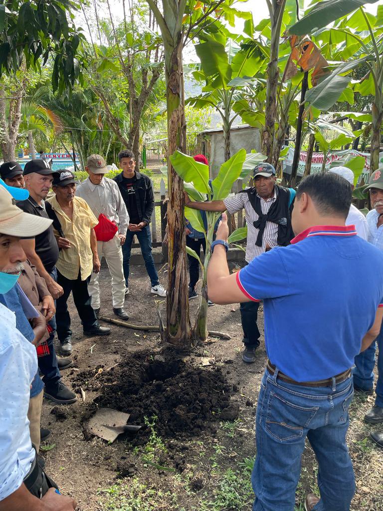AgtechParaTodos's tweet photo. Talleres de capacitación en prácticas para manejo de humedad de suelo en el campo con productores en Nicaragua en el marco del #proyectoFONTAGRO #AgTechparatodos  @EAPZamorano @BiovIntCIAT_esp @visualiti @FontagroLAC https://t.co/zKQ76qw0rx
