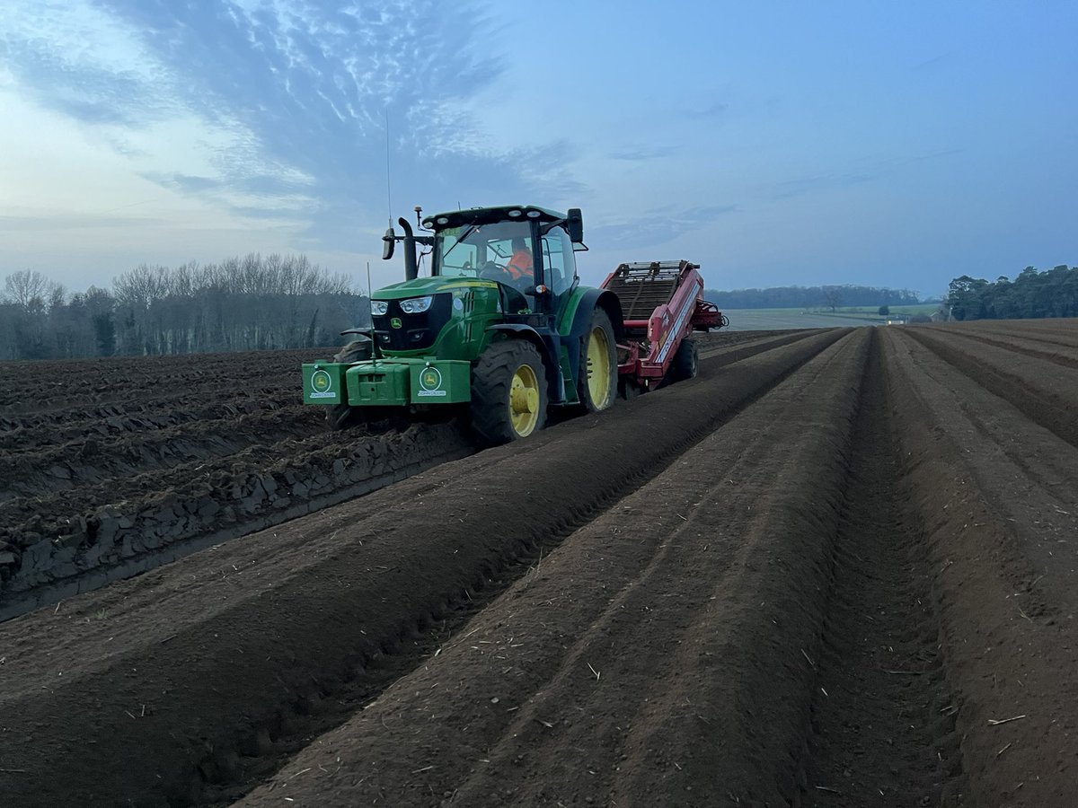 All systems go today <a href="/WestropeFarming/">Westrope</a> 🧅 🥔