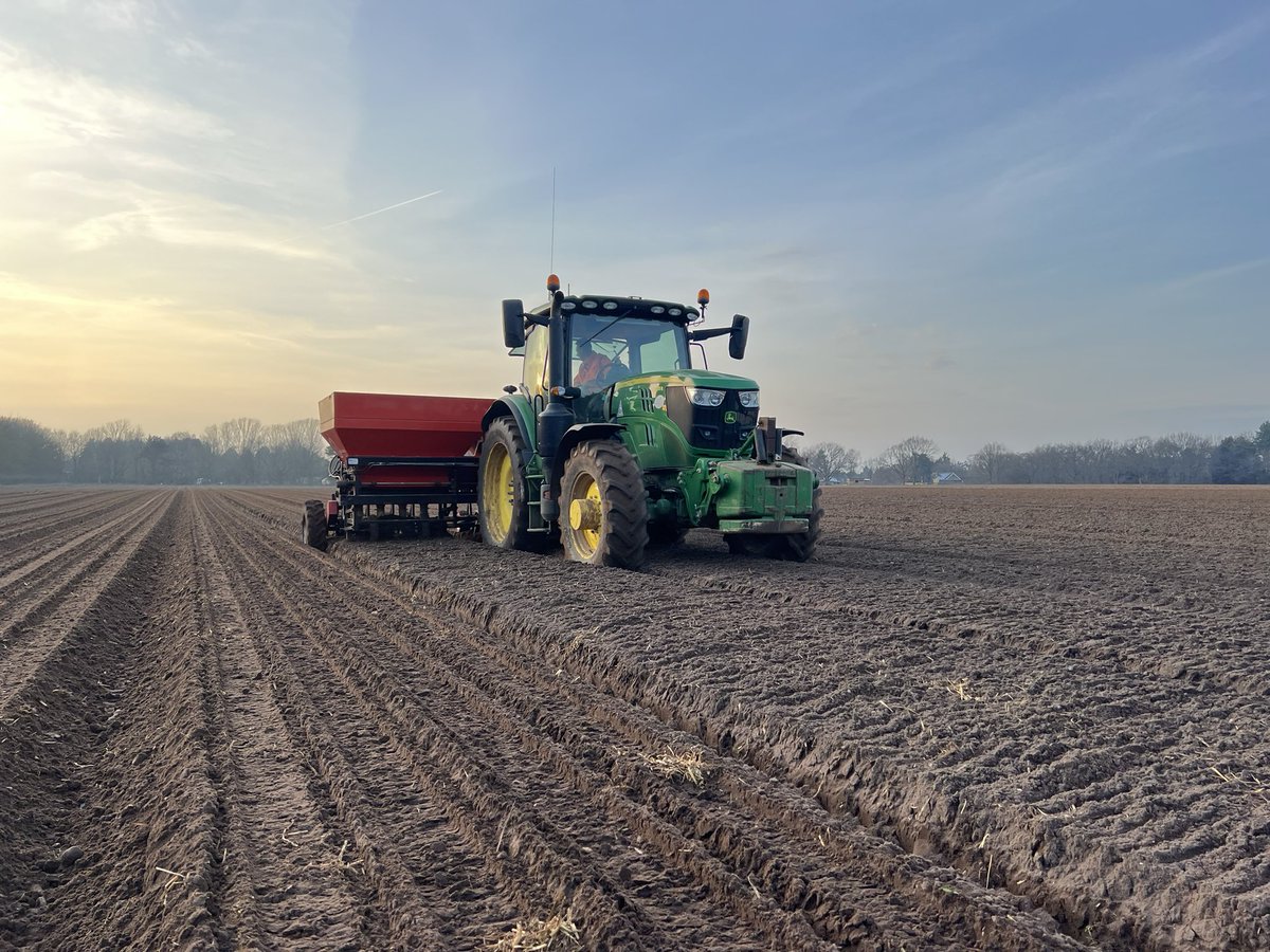 fleming_duncan's tweet photo. All systems go today @WestropeFarming 🧅 🥔 https://t.co/LlCTTbOhDM