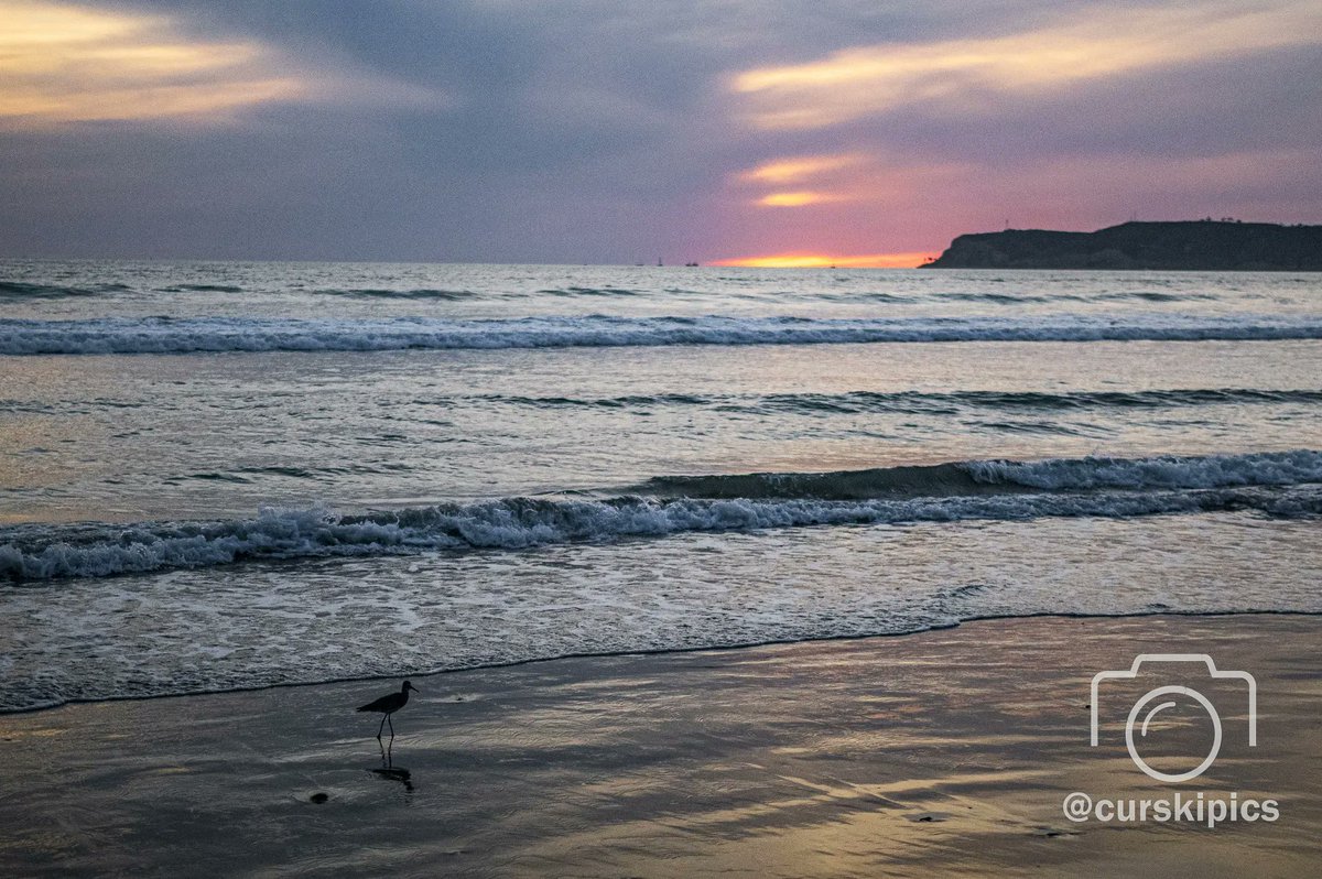 A Coronado Island sunset

#coronadoisland #sandiego #california #sunset #bird #fishing #colors #sandiegobay #water #ocean #sun #pick #orange #reflection #travel #vacation #minnesotaphotographer #waves #surf #coronadobeach #nature #naturephotography #pentax