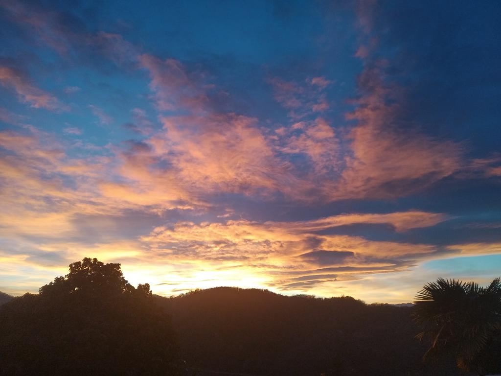 marina greco speaker tweet media