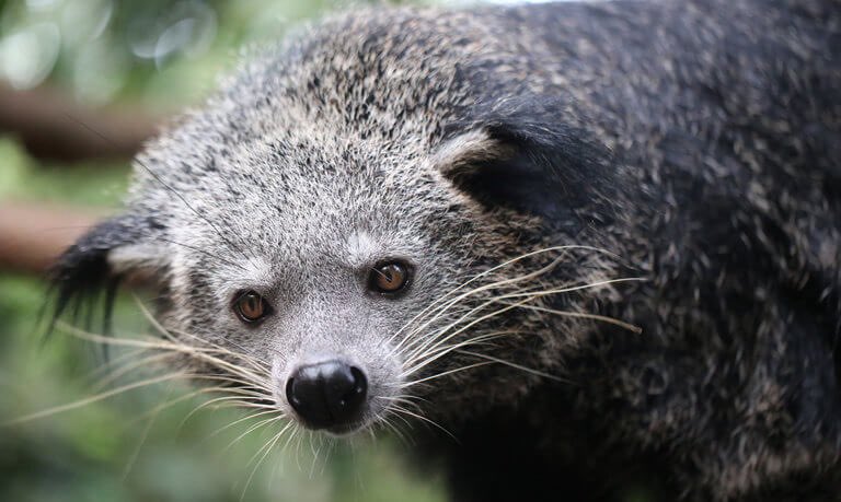 Wisnu Murti tweet media