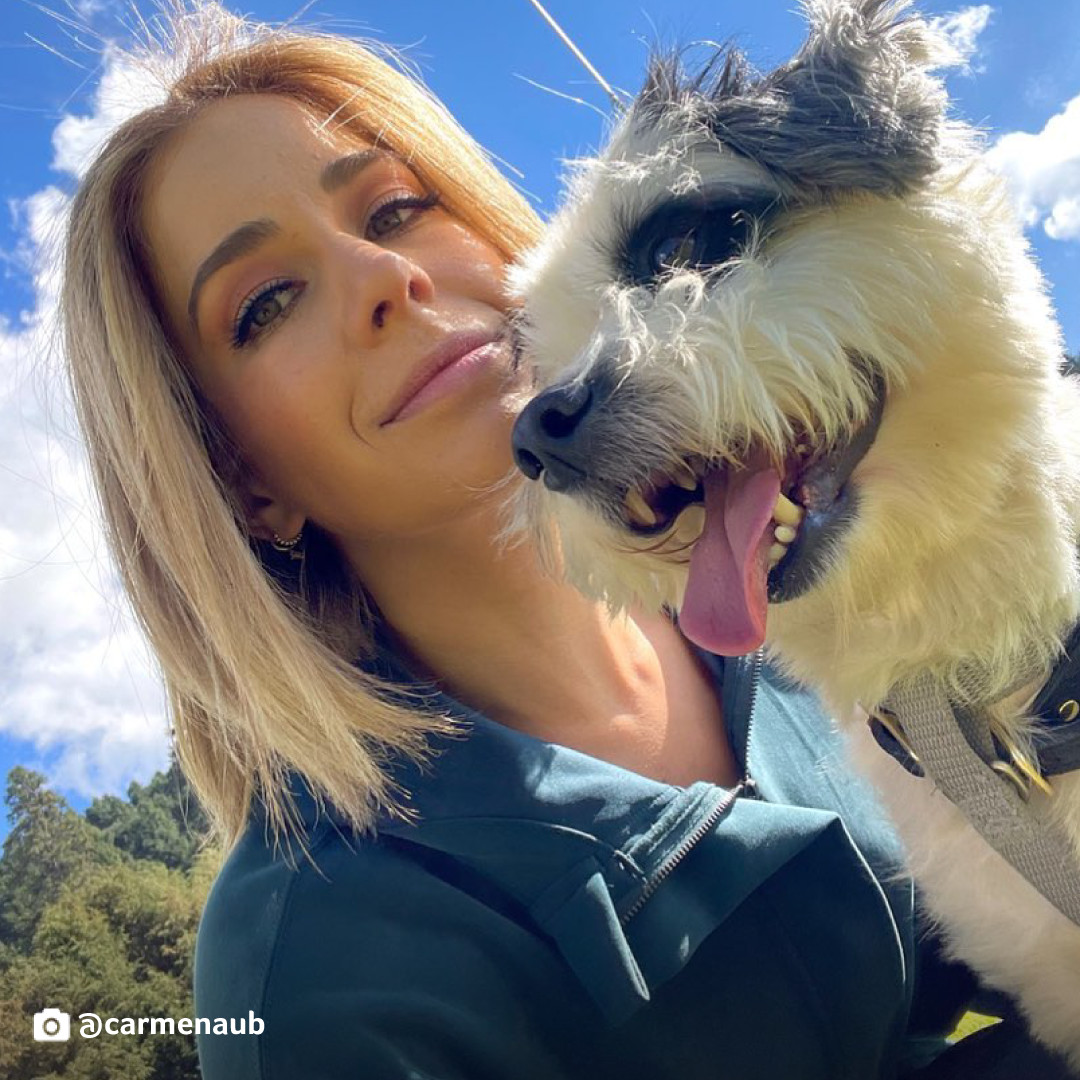 TelemundoIntl's tweet photo. Este es el selfie más tierno que vas a ver hoy ♥️🐶 ¿Sí o no?
📷: @carmenaub https://t.co/QGtd19mE57
