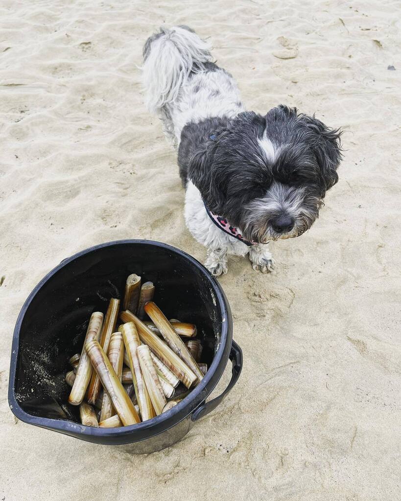 Art Workshops & Stays in Cornwall tweet media