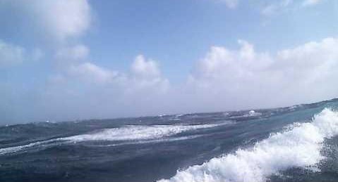 databuoycenter's tweet photo. Well offshore of Washington, @NOAA @NWS station 46005 (300NM W of Aberdeen, WA) is experiencing waves of 26ft and sustained winds of ~ 40kts. #buoycam #seadata
https://t.co/xwjrzRl3Df https://t.co/LjBUjAytjv