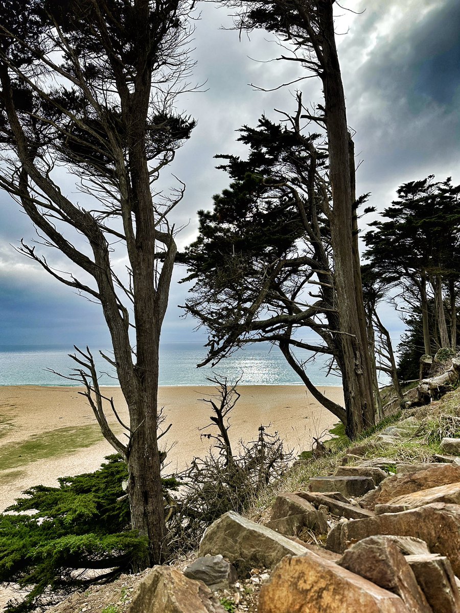 gemmak500's tweet photo. Loe Bar.
#cornwall #kernow #lovecornwall #uk #explorecornwall #cornishcoast #sea #ocean #visitcornwall #capturingcornwall #loebar #lowbarbeach #porthleven #sky #marine #cloud #winter #kernowfornia #trees #treesofinstagram #cliffs #beach #porthlevencornwall @beauty_cornwall https://t.co/UU2YsDGeAK