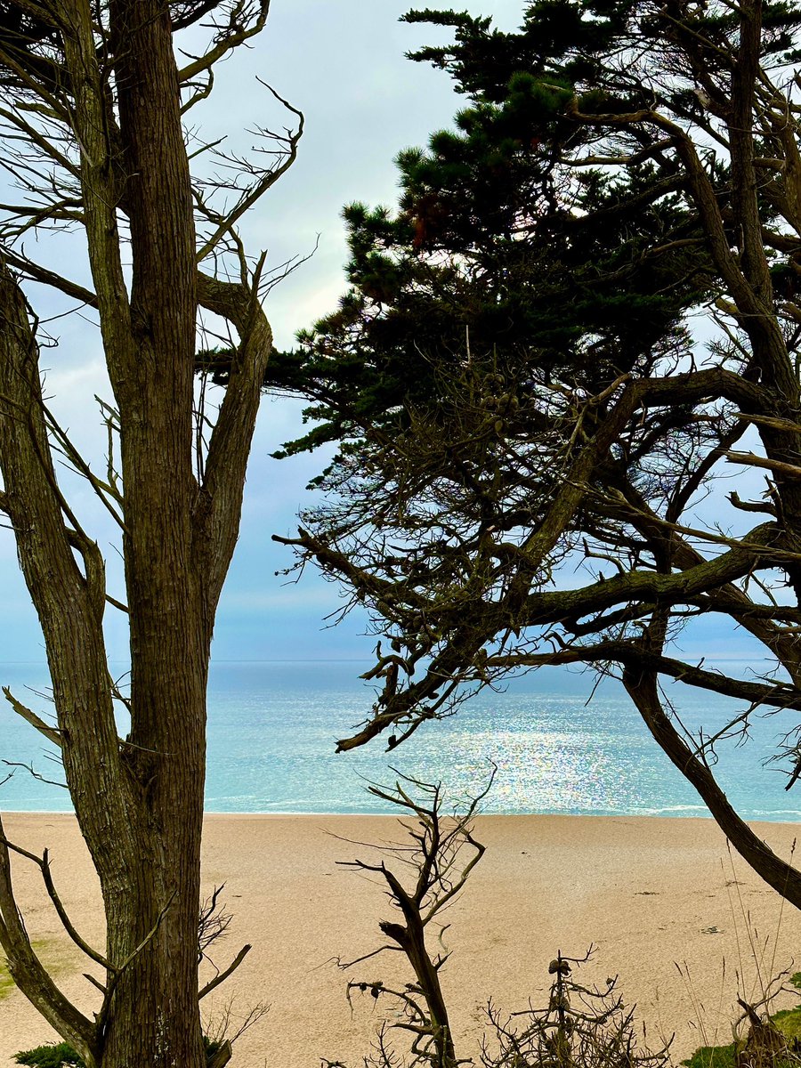 gemmak500's tweet photo. Loe Bar.
#cornwall #kernow #lovecornwall #uk #explorecornwall #cornishcoast #sea #ocean #visitcornwall #capturingcornwall #loebar #lowbarbeach #porthleven #sky #marine #cloud #winter #kernowfornia #trees #treesofinstagram #cliffs #beach #porthlevencornwall @beauty_cornwall https://t.co/UU2YsDGeAK